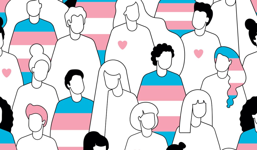 Trans Day of&nbsp;Visibility